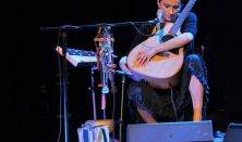 Gdyńska Scena Muzyczna - Renata Przemyk "AKUSTIK TRIO"