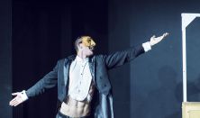 Pan Kot