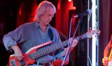 BLUE BLUES BAND