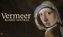 Vermeer. Blisko Mistrza (Dicht bij Vermeer)