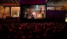 Octopus Film Festival - Karnet VIP