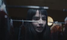 Humanitarna wampirzyca… (Vampire humaniste…)