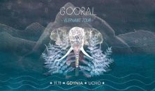 Gooral - Elephants Tour