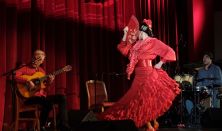 Koncert Viva Flamenco!