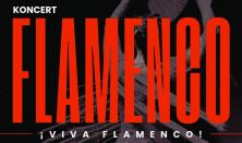 Koncert Viva Flamenco!